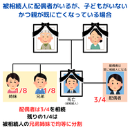親が既に亡くなっている場合は、配偶者は3/4を相続する。残りの1/4は、被相続人の兄弟姉妹で均等に分割する。