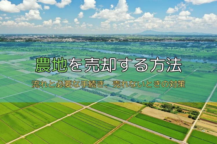 農地を売却する方法とは？流れと必要な手続き、売れないときの