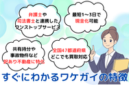 すぐにわかるワケガイの特徴