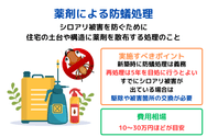 薬剤による防蟻処理