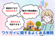 ワケガイに関するよくある質問