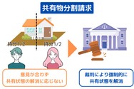 共有持分分割請求