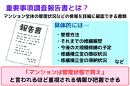 重要事項調査報告書とは？