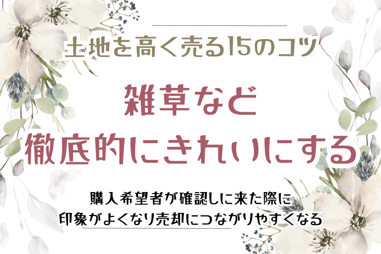 土地を高く売る15のコツ 雑草など徹底的にきれいにする